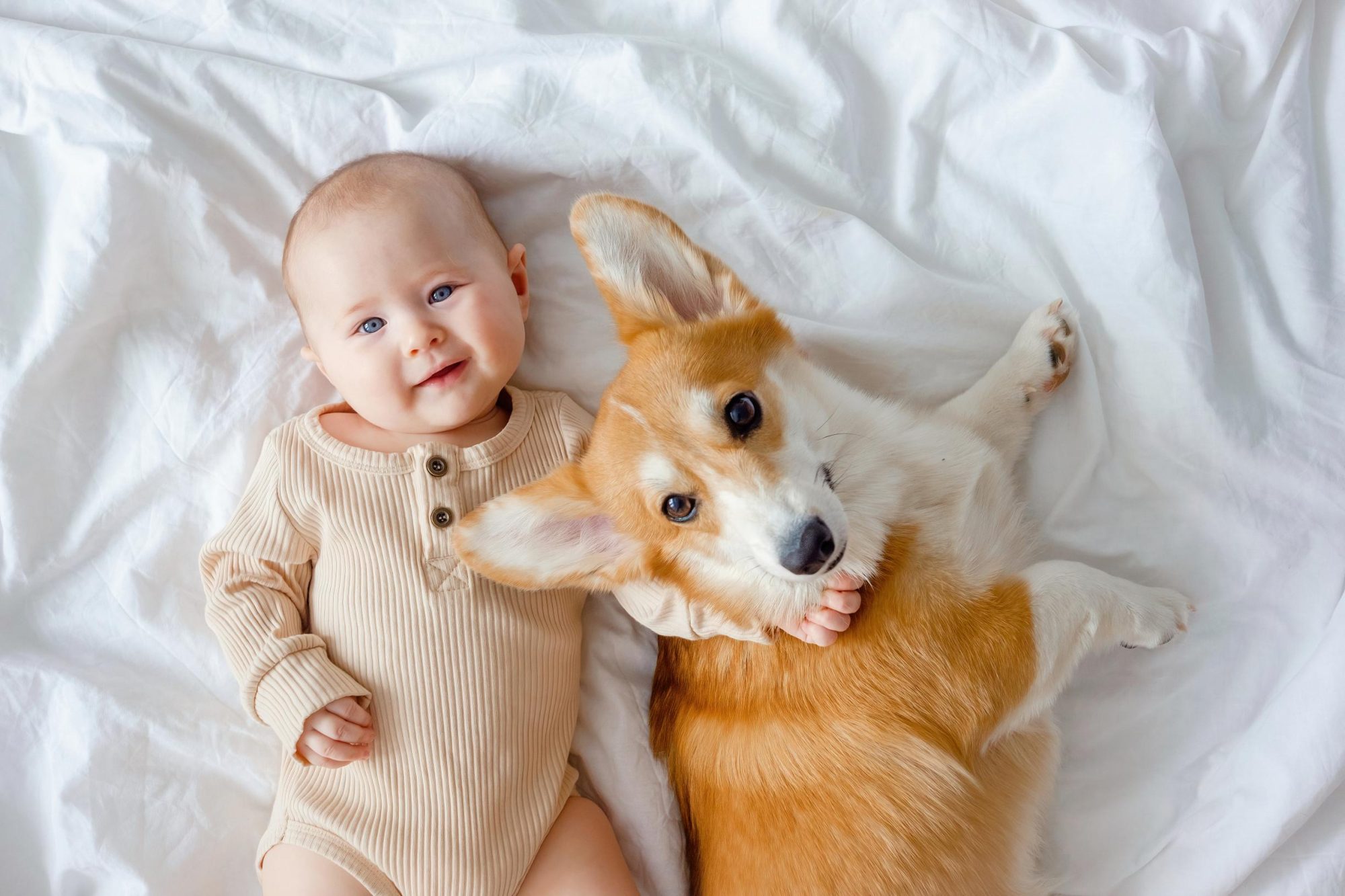 How To Introduce Your Pets to a New Baby